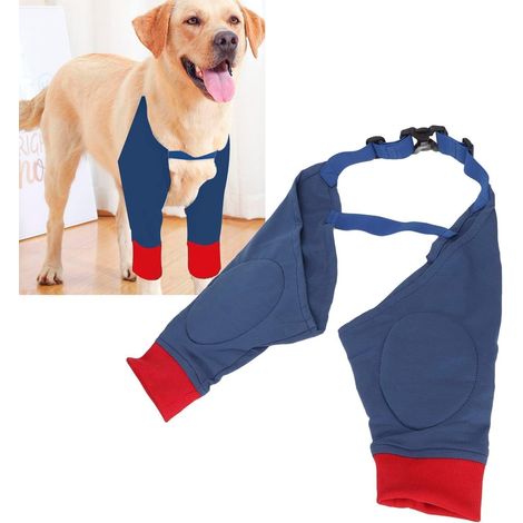 Coudière pour Chien, Manchon de Récupération Souple pour Chien, Protège-coude Canin pour Petits, Moyens et Grands Chiens (L) (1/5)