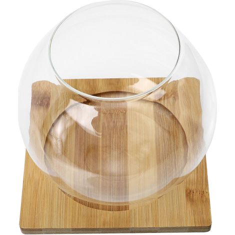 mini-bouteille de rangement en verre transparent pour plantes succulentes (1/4)