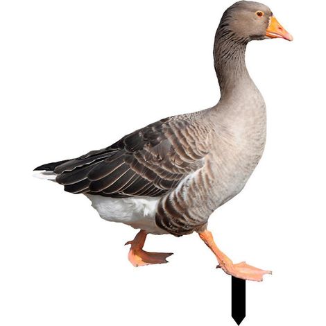 Décoration de canard Farfi - Statue de volaille rustique en acrylique, impression recto-verso, réaliste et ornementale - E (1/5)