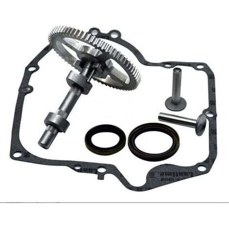 Arbres à cames Briggs & Stratton 793880 793583 792681 791942 795102 Kit de remplacement de came..DEBUNS (1/5)