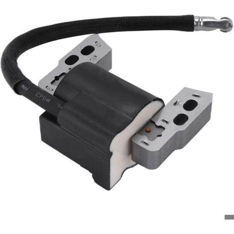 Module bobine d'allumage moteur 802574 796964 Briggs & Stratton (1/3)