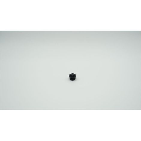 BWT Stopfen für PP-Schwarz R 3/4" x 25,5mm, 1-166988