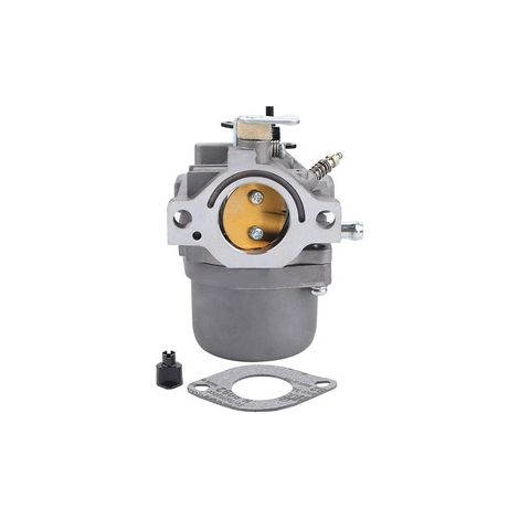 Carburateur 799728 – Réf. 498027 499161 289702 289707 LMT 5-4993 699896, moteur tondeuse (1/5)