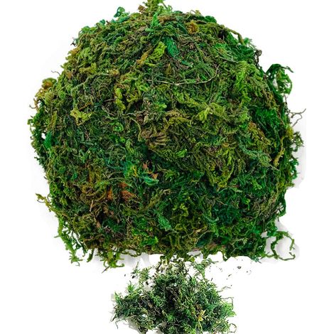 Mousse Verte Artificielle pour Décoration et Bricolage, Mousse Séchée Naturelle pour Tapis de Plantes et Créations Artistiques Pot de Fleur Jardin (1/5)