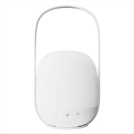 Lampe de poche colorée avec télécommande - Lumière douce pour protéger les yeux, idéale pour la maison, le jardin, comme veilleuse pour le camping. (1/5)