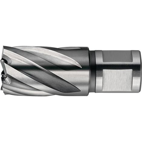 Fraises HSS Nova 50 diamètre 34mm 50mm Weldon FEIN 63134340052