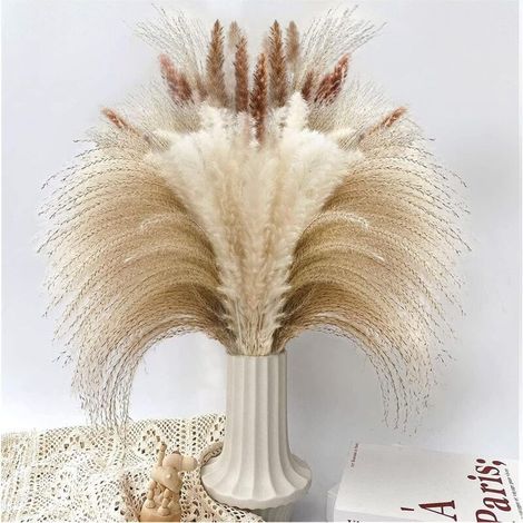 Décoration d'herbe de Pampa séchée, 90 PCS d'herbe de Pampa Contenant des Fleurs séchées de Queue de Lapin, Bouquet d'herbe de Roseau pour décoration de Table bohème de Mariage à la Maison (1/4)