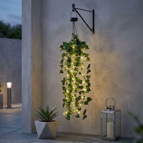 Lunaria Hanging Solar Ivy Basket (1/2)