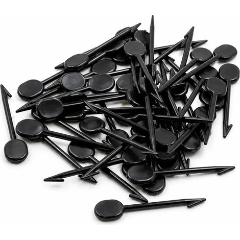 Boîte de 100 goupilles pour lunettes anti picage grand modèle (1/3)