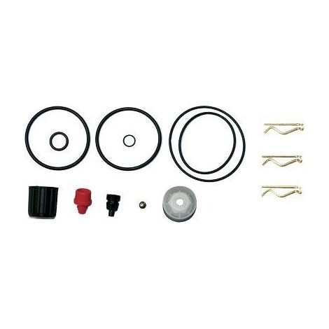 KIT RICAMBI POMPA ROSY 3507C GDM - 1 confezioni