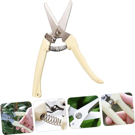 Filiyano-Sécateur haute performance en acier inoxydable pour vignes, arbustes et arbres. Conception ergonomique pour droitiers et gauchers. Coupe (1/5)