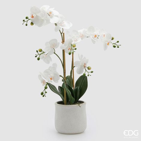 EDG Enzo De Gasperi Orchidea Phalaenopsis x5 con Foglie e Vaso H 62 Cm Pianta Artificiale Bianco (1/4)