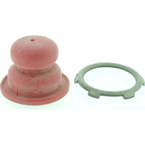 Poire amorcage carburateur 20mm pour moteurs tondeuses et motoculteurs – Compatible Prisma, Spectra, Centura – Hauteur 21mm – Tecumseh