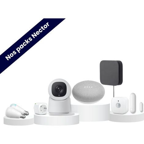 Starter Pack  Logement connecté - Nest Mini  Google Home / Blanc