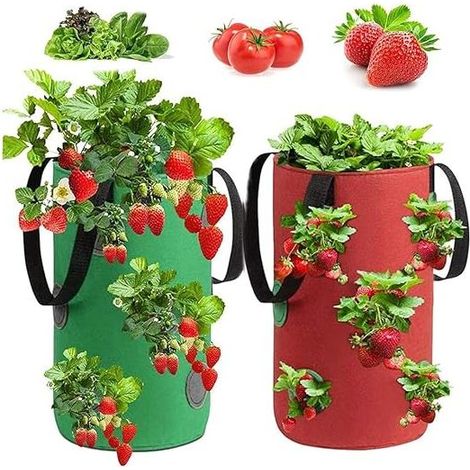 bolsas para plantar fresas, bolsas de cultivo de fresas, bolsas de cultivo de fresas no tejidas, bolsas de plantación de fresas, para fresas, hierbas y flores (3 galones, 20x35 cm) (1/5)