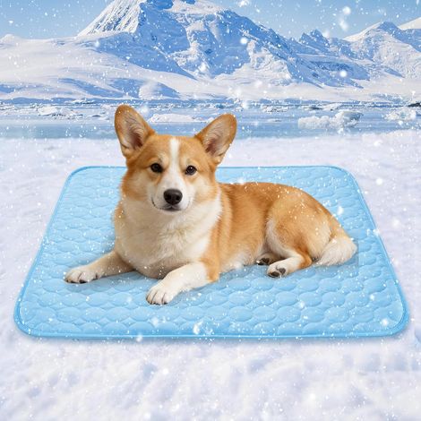 Tapis Rafraîchissant pour Chien 100 x 70 cm en Polyester Haut de Gamme Non Toxique Confortable Facile à Nettoyer et Pliable Intérieur Extérieur (1/4)