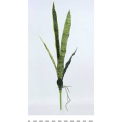 Fusto di sansevieria nippo, altezza 80 cm, verde - Atmosphera créateur d'intérieur (1/2)
