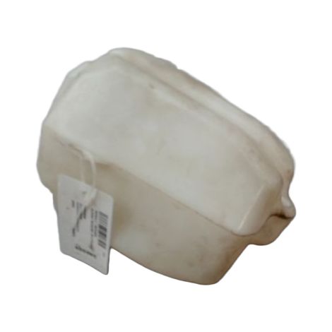Reservoir Lave-glace Avant RENAULT Scenic Monosp. II Phase 1 2003-2006 [PRODUIT D'OCCASION]♻️7701207665
