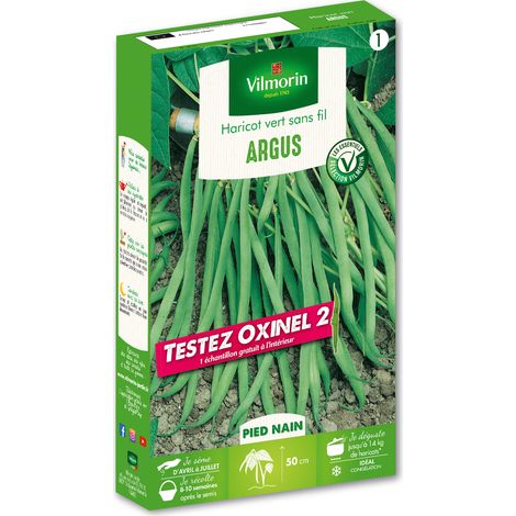 Haricot Nain Vert Argus + échantillon Oxinel 2 Vilmorin (1/2)
