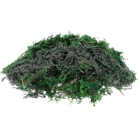 Un sachet de 20 g de mousse artificielle de conservation, compatible avec les récipients en verre, convient pour les bonsaïs, la décoration de jardins féeriques, et pour une utilisation intérieure et (1/5)