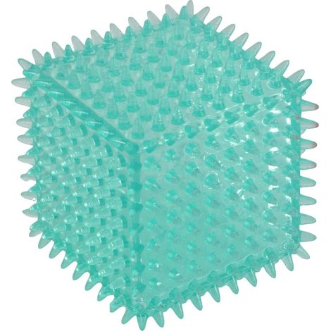 Jouet Dentaire Chien "Cube à Picots" 8cm Bleu