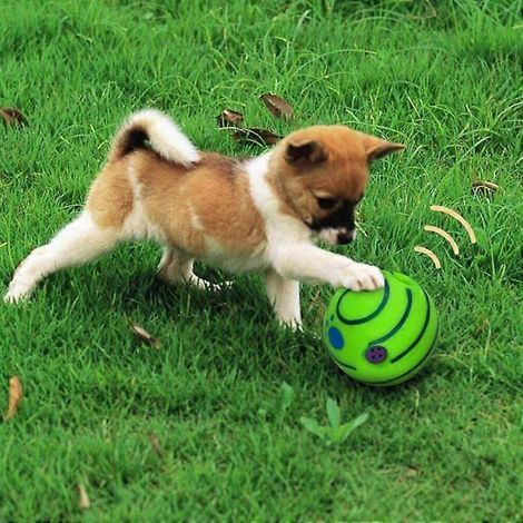 Balle interactive HYQ pour chiens de petite, moyenne et grande taille - Jouet couineur pour chiots - 14 cm (1/5)