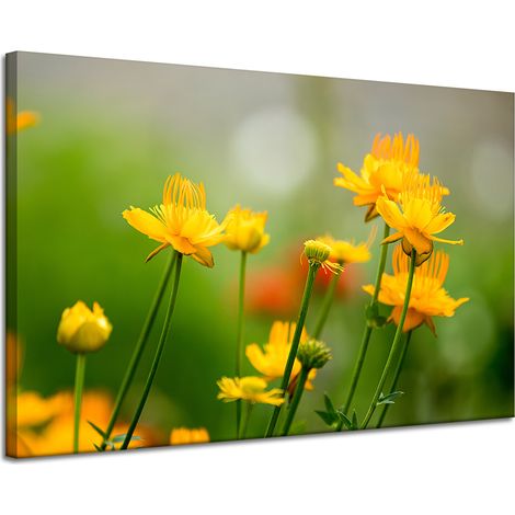 Leinwanddruck Botanik Gelbe Blumen 120x80 cm