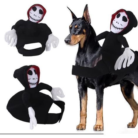 Déguisement de fantôme pour chien pour Halloween, cape de fantôme pour chiot, costume de cosplay pour fête d'Halloween, accessoire cadeau amusant pour animaux de compagnie, déguisement de fête (petit) (1/4)