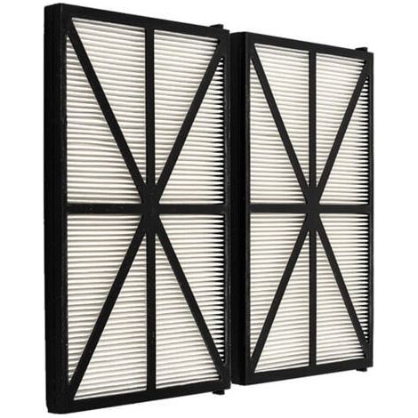Lot de Filtres pour Robot- RCX70101PAK2 - Noir-2 Panneaux