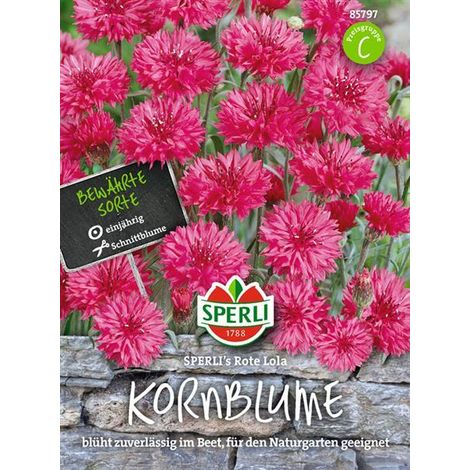 Sperli Kornblumen SPERLI´s  Rote Lola - Blumensamen (1/4)