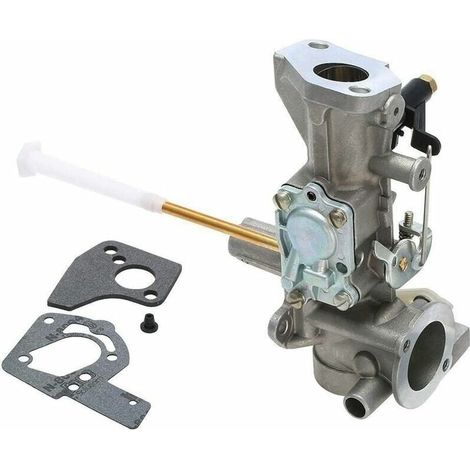 pour Briggs & Stratton 498298 Carburateur 495426 692784 495951 (1/5)