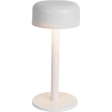 Lampe Veilleuse Champignon de Table (1/5)