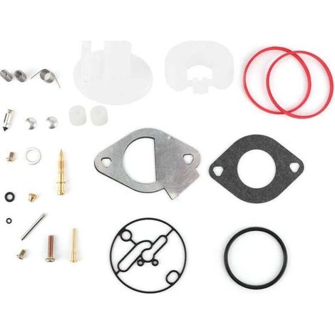 Kit de réparation de carburateur pour Briggs Stratton 796184 796081 790727 Master Overhaul Nikki (1/4)