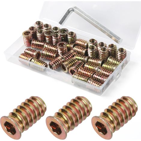 Insert Fileté Bois M8 x 20mm, 40 Pièces Douille Filetée Visser Inserts Écrous à Zinc, Insert D'écrou Borgne Metal Ecrou Hexagonal, Intérieur Manchons a Visse Vis Tête, pour Meubles en Bois (1/5)