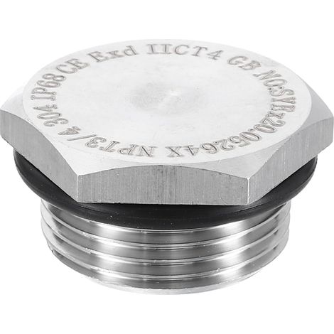 304 Inox Tuyau Bouchon Raccord 3/4" NPT Mâle Filetage Extérieur (1/5)