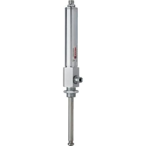 Vérin hydraulique MZ 6003055DW (1/2)