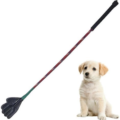 Bâton de dressage pour chien, bâton de flirt portable, outils de dressage pour animaux de compagnie, meilleures pratiques, bâton d'entraînement complet pour améliorer l'obéissance du chien