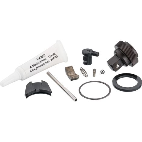 Kit de pièces de rechange pour roue à rochet Hazet 8816HP/11