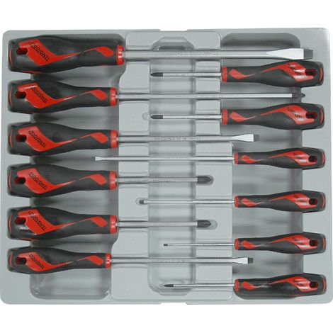 Jeu tournevis PL/PZ/PH 12 dlg. Teng Tools MD912N (1/4)