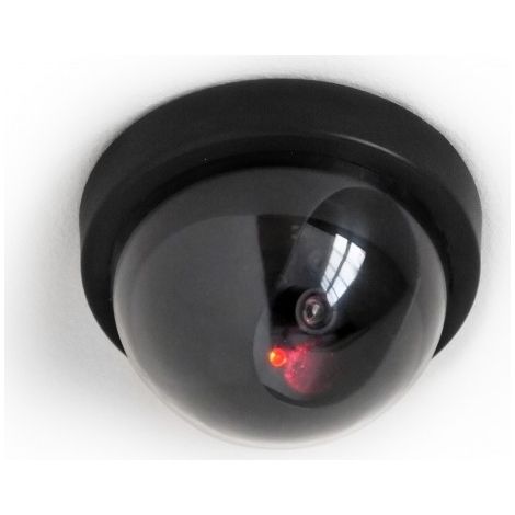 Caméra de surveillance factice dôme compacte avec Led clignotante (1/3)