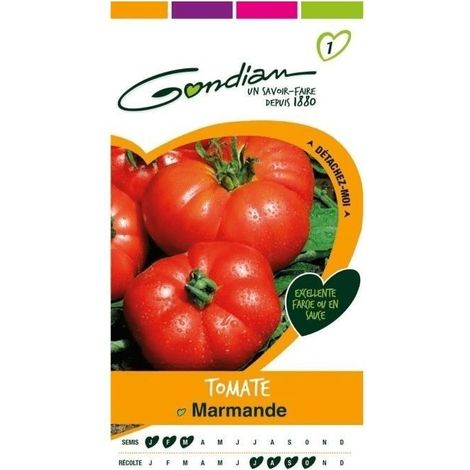 Gondian - Tomate Marmande Rouge