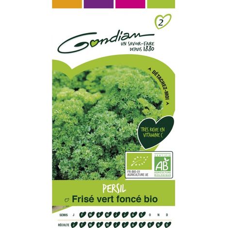 Gondian - persil frisé vert foncé bio (1/3)