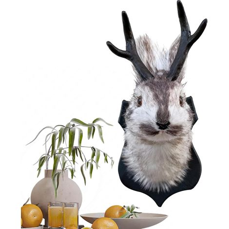 Têtes d'Animaux Décoration Murale Sculpture En 3D Douce Et Créative  Sculptures De Têtes D'Animaux Pour La Décoration Pour L Intérieur De La Maison Salon Chambre Couloir Espace Détente Vacances (1/5)