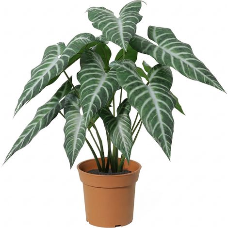 Plante Artificielle Alocasia Polly Oreille d'Éléphant Décoration Intérieure Vert 49 cm - PANGIVO