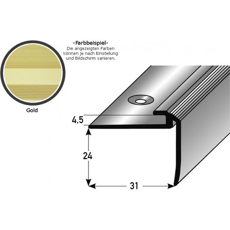 Einschubprofil "Kilkenny" mit Nase für Designbeläge, Einfasshöhe 5 mm, Aluminium eloxiert, gebohrt-goldfarbig-1000