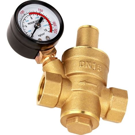 Régulateur pression eau DN15 – laiton – avec manomètre – protection tuyaux VR contre haute pression ville (1/5)