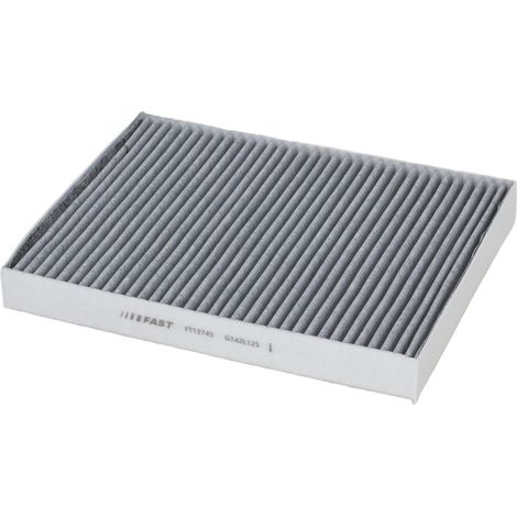 Filtro abitacolo rapido al carbone FT13743 (1/4)