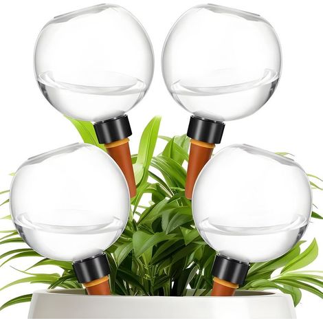 Dispositif D'Arrosage Automatique en Forme de Boule 500ml, Globes D'Arrosage de Plantes, Spike D'Arrosage, Dispositif D'Arrosage Portable, Globes D'Arrosage d'eau pour La Maison (4 Pcs) (1/5)