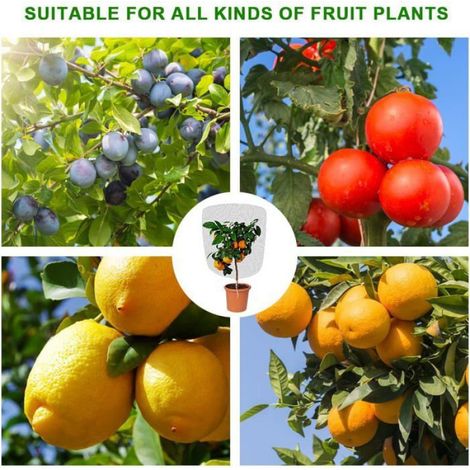 Filet Anti Insecte - Polyéthylène UV Résistant - Maille 1,2 mm - Pour Serre Jardin Potager - 1 x 1,5 m - 2 Pièces