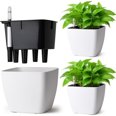 Pots de Fleurs Auto-Arrosants Carrés 13 cm Lot de 3 avec Indicateur  Réservoir d’eau intégré, Pour lierre et pothos, Usage intérieur et extérieur, Coloris blanc